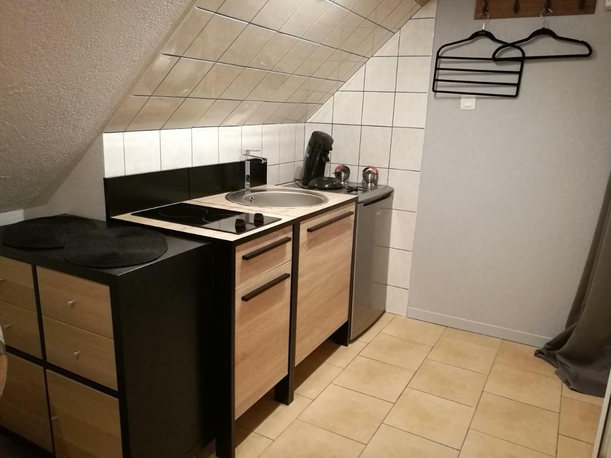 Le Cigogneau-Studio Alcove Au Calme Sainte-Croix-en-Plaine エクステリア 写真